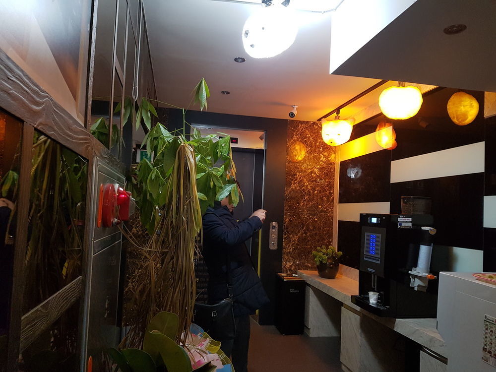 Cloud Nine Hotel Gimhae Ngoại thất bức ảnh